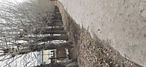 уборка в парке